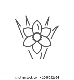 Narcissus editable line icon - beautiful spring flower pixel perfect vector illustration isolated on white background. Outline floral symbol can be used as logo or decorative element.