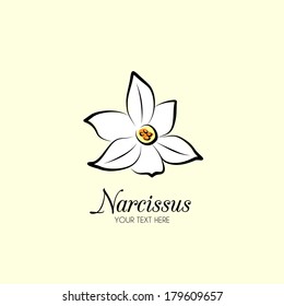 Narcissus Flower