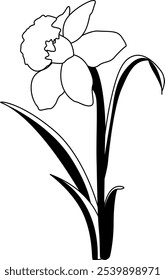 Narcissus Flower Digital EPs Vector graphics File