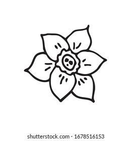 Narcissus flower drawn by hand. Vector illustration isolated on a white background. Black and white, contour.
