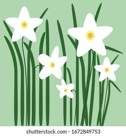 Narcissus flower field with copy space. Floral decoration on green. Art bouquet daffodil flower or jonquils. Spring holiday card with text place. Vector Illustration Flat style wallpaper flower design