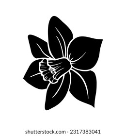 Narcissus flower isolated on white background. Silhouette of daffodil blooming bud, hand drawn sketch, side view. Vector element for Easter or romantic design, nature and botanical illustration.
