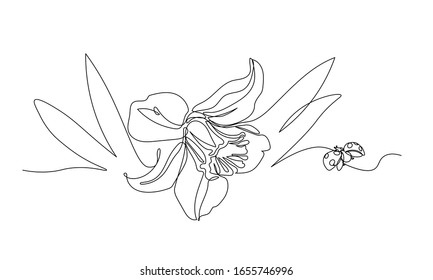 narcissus flower & ladybug, symbol of spring, youth, easter, ornament & pattern for wedding cards, vector illustration with black single contour line isolated on white background in hand drawn style