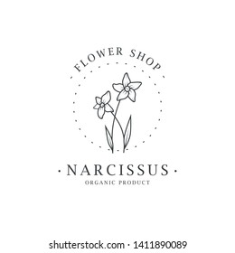 Narcissus flower. Logo for spa and beauty salon, boutique, organic shop, wedding, floral designer, interior, photography, cosmetic. Botanical floral element.