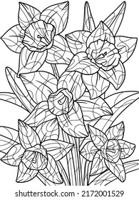 Narcissus flower, plant. Home plant with large leaves. Zen-tangle style. Hand draw