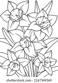 Narcissus flower, plant. Flower outline. Page outline of cartoon. 