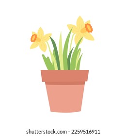Narcissus flower in a pot. Spring plant in flower pot. Cartoon flat vector illustration.