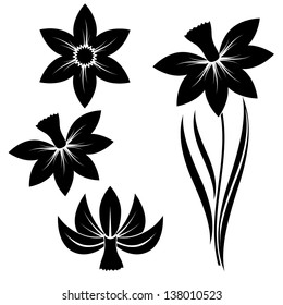 narcissus flower silhouette with three different heads vector set