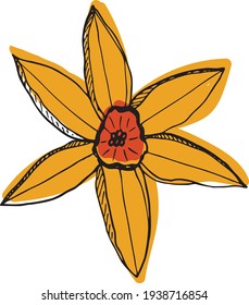 Narcissus Flower. Vector Hand Drawn Sketch. Sketch Botanical Illustration. Daffodil black ink sketch