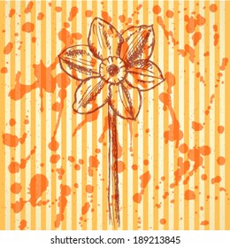 Narcissus flower, vector sketch background 