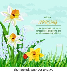 Narcissus flowers background Vector. Spring Holidays illustrations