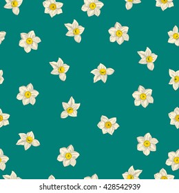 Narcissus flowers. Seamless pattern of daffodils . Vector