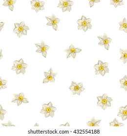 Narcissus flowers. Seamless pattern of daffodils . Vector
