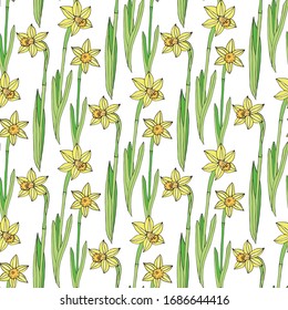 Narciso flores sin fisuras, fondo vectorial dibujado a mano. Plantas amarillas y verdes en blanco