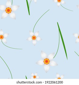 Narciso flor sin fisuras en un fondo azul pálido.
