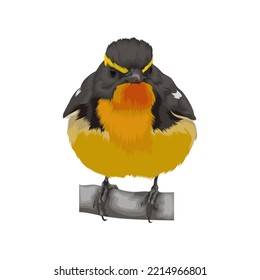 Narcissus Flycatcher bird vector illustration