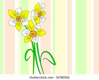 Narcissus greetings background