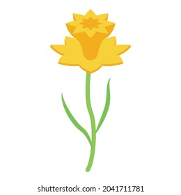 Icono de narciso vector isométrico. Flor de fodilo. Narciso botánico