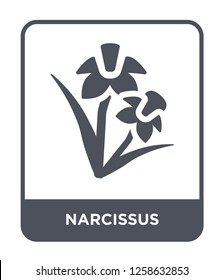 narcissus icon vector on white background, narcissus trendy filled icons from Nature collection, narcissus simple element illustration