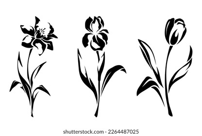 Narciso, iris y tulipanes florales. Siluetas negras de flores aisladas sobre un fondo blanco. Ilustración del vector