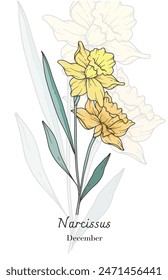 Narcissus Line Art. Narcissus flower vector Illustration. December Birth Month Flower. Narcissus outline isolated on white. Hand drawn line art botanical illustration.