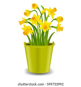 Narcissus In Pot With Gradient Mesh, Vector Illustration