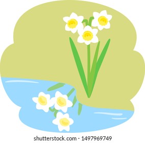 Narcissus reflected on the water surface