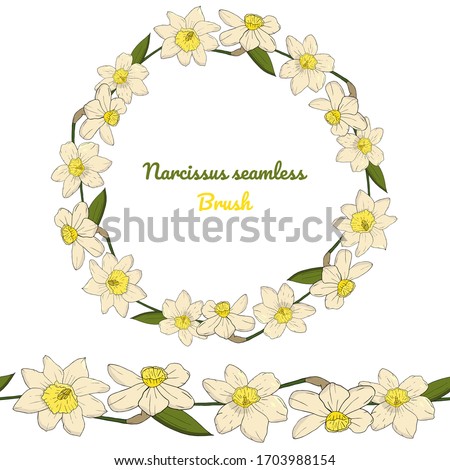 narcissus seamless brush. Flower elements for constucting postcards. White daffodil wreath