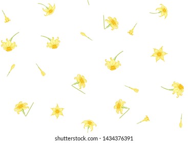 Narcissus. Seamless pattern, background. Colored vector illustration. In art nouveau style, vintage, old, retro style. In soft yellow colors. Isolated on white background.	