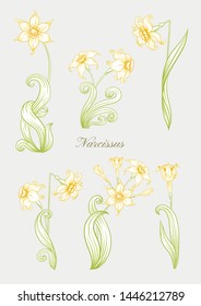 Narcissus. Set of elements for design Colored outline hand drawing vector illustration. In art nouveau style, vintage, old, retro style. In soft yellow colors.	