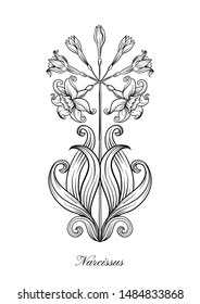 Narcissus. Set of elements for design Outline hand drawing vector illustration. In art nouveau style, vintage, old, retro style.	