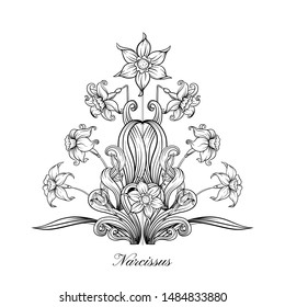 Narcissus. Set of elements for design Outline hand drawing vector illustration. In art nouveau style, vintage, old, retro style.	