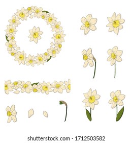 narcissus set vector with seamless brush. Construct your own narcissus wreath. Elements for constucting easter cards and invitations. White daffodil flower seamless brush.