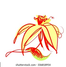 narcissus, spring, spring bulbs.Drawing vector graphics with floral pattern for design. Floral flower natural design. Graphic, sketch drawing. 