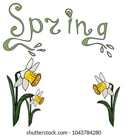 Narcissus. Spring. lettering Vector illustration