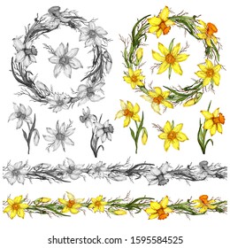 Narcissus spring set. realistic, hand-drawn doodling elements, bouquets, seamless brushes. modern circle, wreath for advertising, Wallpaper, paper, decor, postcards, invitations