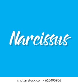 narcissus, text design. Vector calligraphy. Typography poster. Usable as background.