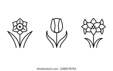 Narcissus, tulip, amaryllis - bulbous flowers set. Flowering decorative plants in minimalist style. Botanical icon set for a label, seed shop, supplements, extracts. Editable thin line svg