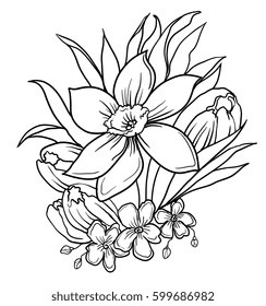 narcissus and tulips, spring flowers. Bouquet of flowers.. Element of decor. Bouquet in line style. Vector Flower Collection