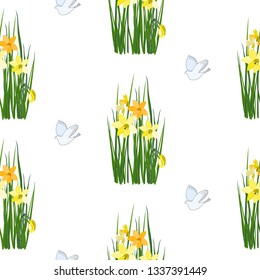 Narcissus. Vector. Flowers seamless pattern on isolated background.
