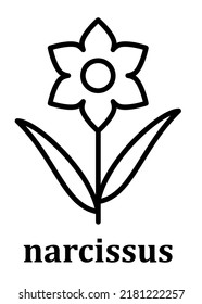 Narcissus vector linear icon. Narcissus flower petal line and branch with leaves. Simple minimal illustration linear style for mobile concept, web design and more. Pixel perfect vector graphics.