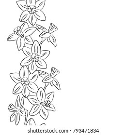 narcissus vector vertical border contour