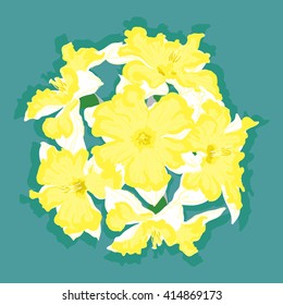 Narcissus vector yellow ball on blue background