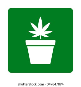 Narcotic Pot vector icon. Style is flat rounded square button, white and green colors, white background.