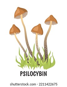 Ilustración del vector de psilocybin de hongos psicodélicos narcóticos. Hongos mágicos alucinógenos de Psilocybin. Estilo plano