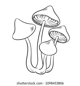 Narcotic psychodelic mushroom psilocybin coloring vector illustration. Comic book style imitation.