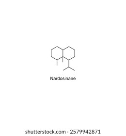 Nardosinane skeletal structure.Sesquiterpene compound schematic illustration. Simple diagram, chemical structure.