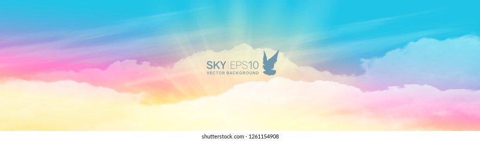 Narrow horizontal vector banner with realistic pink-blue sky and cumulus clouds. The image can be used to design a flyer and postcard.
