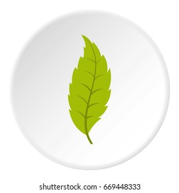 Narrow toothed green leaf icon in flat circle isolated on white background vector illustration for web