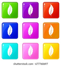 Narrow toothed leaf icons of 9 color set isolated vector illustration